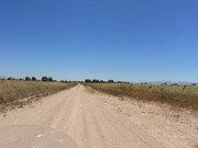 Otra gira por las Pampas Chatas DSC02311