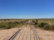 Otra gira por las Pampas Chatas DSC02318