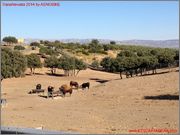 TRANSNEVADA by ASNOBIKE 2014_08_14_09_52_58