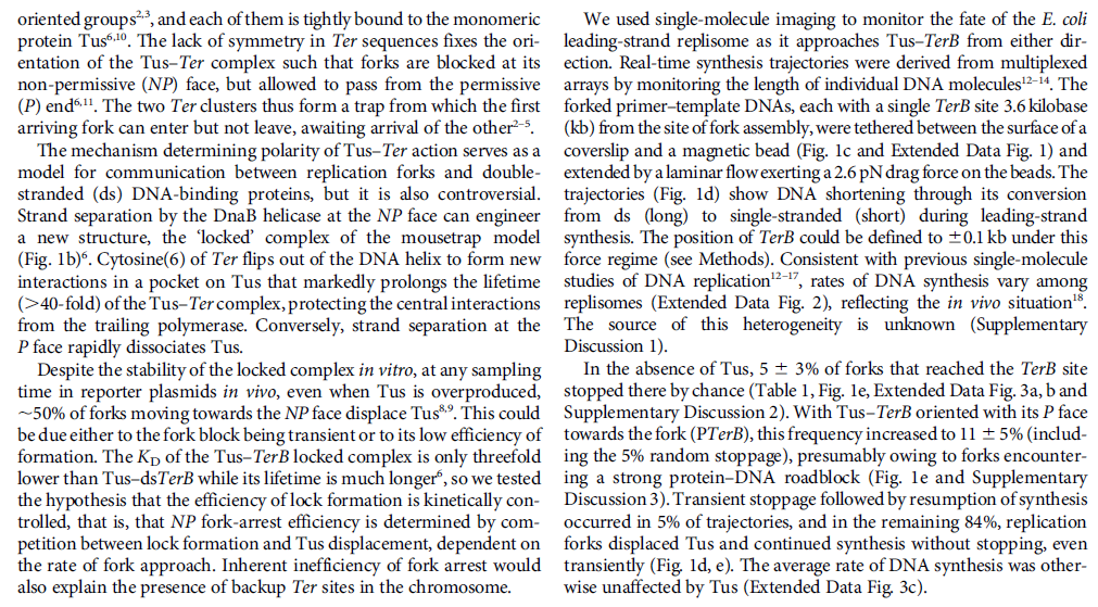 dna replication - DNA replication of prokaryotes - Page 2 Dna_replication_termination_nature_1234