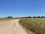 Otra gira por las Pampas Chatas DSC02300