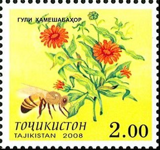 Briefmarken - Motiv Bienen und Hummeln - Seite 2 Ff48d3506541