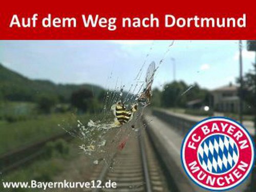 Borussia Dortmund vs FC Bayern Munich. - Page 3 6jxg2r5l