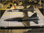 JAS 40A/B Tigershark, Monogram/Revell 1:48 scale IMG_6956