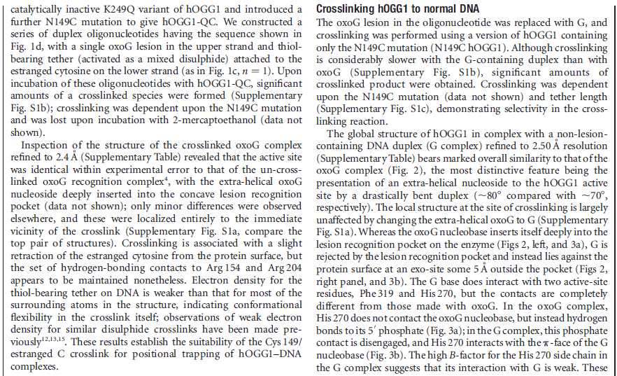 Error checking and  repair systems in the cell, amazing evidence of design DNA_repair_enzyme12