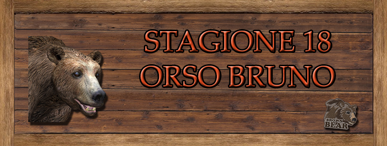 Orso Bruno - ST. 18 ORSO_BRUNO