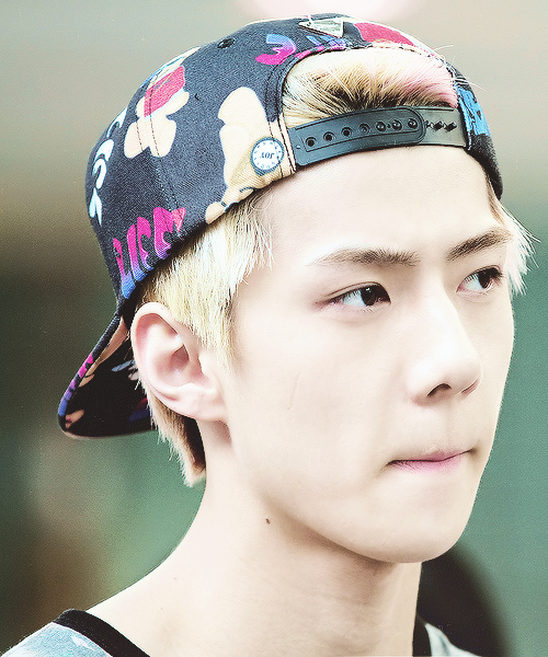 ☆ Oh SeHun ☆ Mỹ nhân trà sữa ☆ - Page 4 Exo-exok-kpop-maknae-oh-sehun-sehun-Favim.com-796155