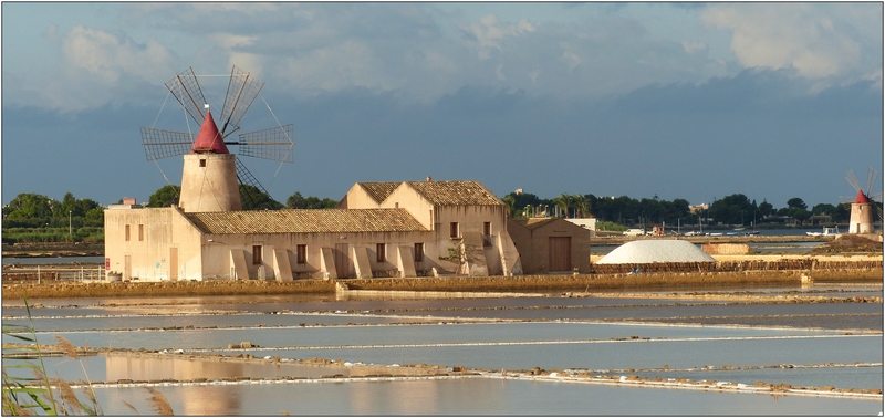  Saline di Mozia, tra Trapani e Marsala (série) & réponse explicative  P1120720