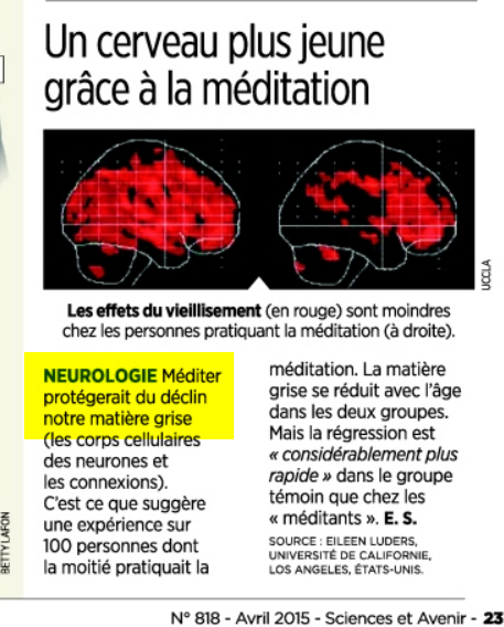 Les Mérites de la Méditation en islam: CERVEAUX PLUS JEUNES ISLAM_ET_MEDITATION