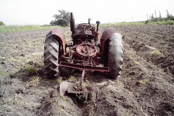 Tractores en fotos de época.  - Página 14 Tractor-_Ford-8_N-todavia-trabajando-en-_Cuba-agricultura