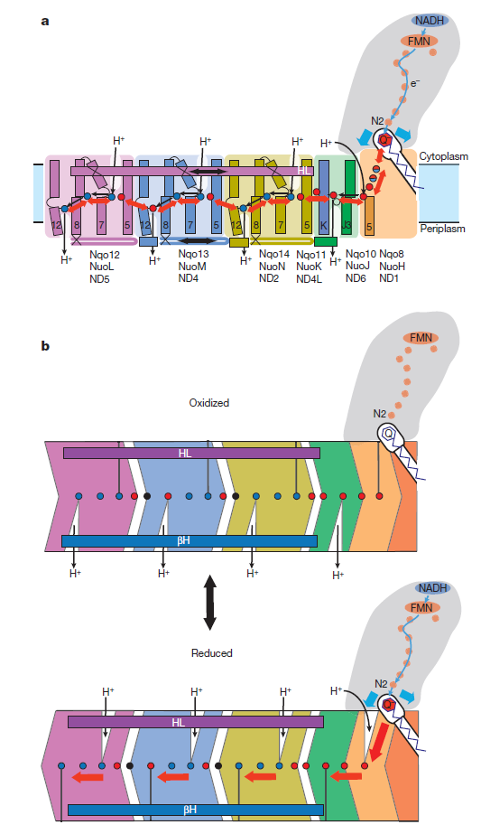 Your Inner Locomotive Revealed 6789