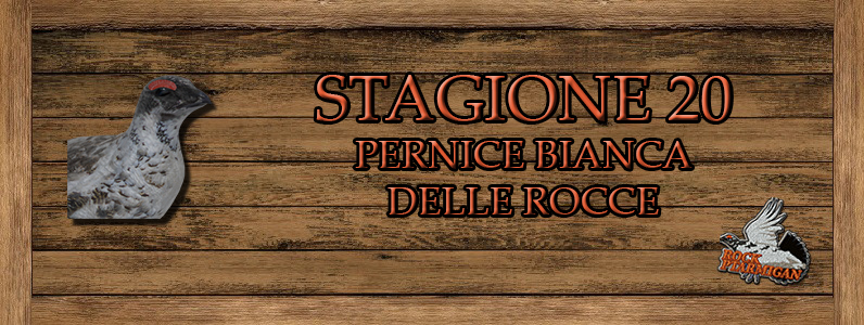 Pernice bianca delle rocce - ST.20 Rock