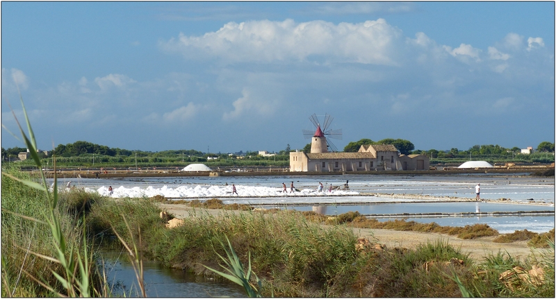  Saline di Mozia, tra Trapani e Marsala (série) & réponse explicative  P1120737