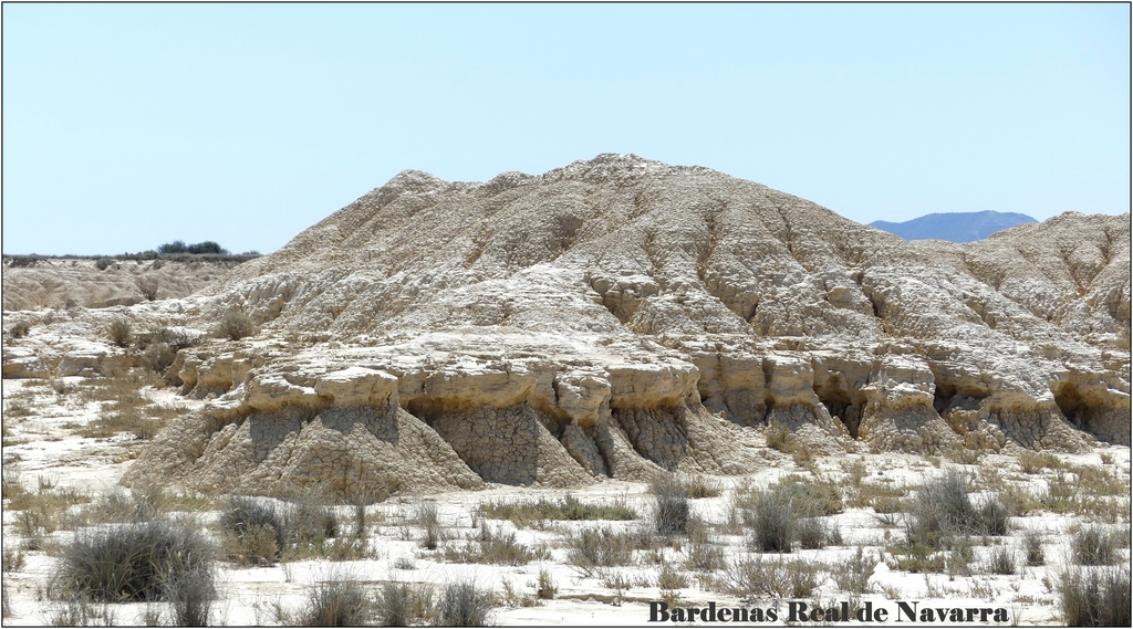  "Les Bardenas " Real de Navarra P1020052