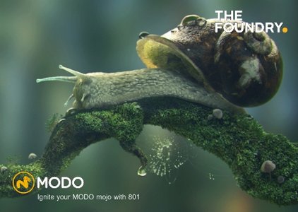 The Foundry Modo 801... Image