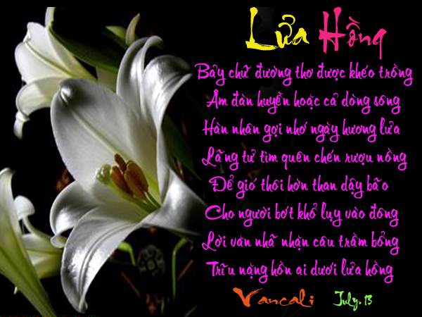 1 - Thân chào quý huynh tỷ . lâu không gặp hì hì .... - Page 13 Lua_hong_copy