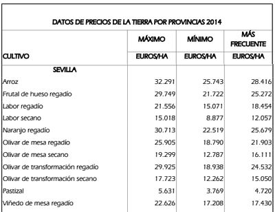 Precio olivar tradicional de secano. Precios_tierra