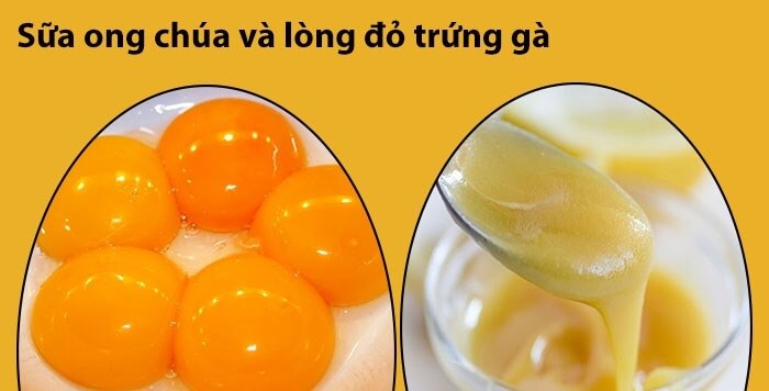 Khám phá 4 công thức làm đẹp da từ sữa ong chúa Sua-ong-chua-va-long-do-trung-ga