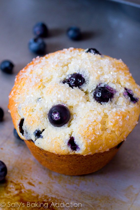 Gettin' coffee | Abierto Jumbo-Bakery-Style-Blueberry-Muffins