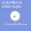 Concorde Avenue (digital store) Wild%20night