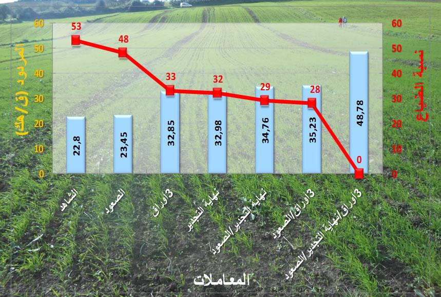 اساسيات التسميد Revenue