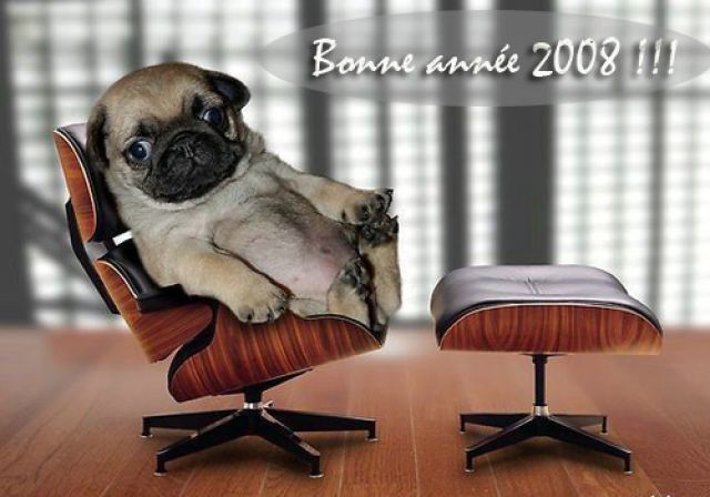 Trucs et astuces Bonne_annee_2008_animaux_joliecarte3