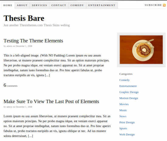 Thesis Skin For Your Thesis WordPress Theme Thesis-bare-e1281440001252