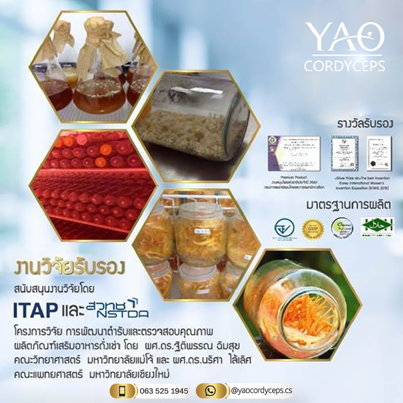 ถั่งเช่า YAO Cordyceps รับสมัครตัวแทนจำหน่าย ไม่สต๊อกสินค้า เสริมภูมิต้านทาน สร้างรายได้ กำไรสูง 249b26f03b79dc5fbcd66900767f2bcb