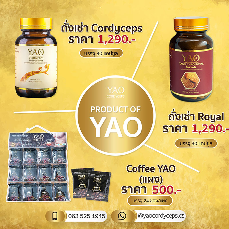 ถั่งเช่า YAO Cordyceps รับสมัครตัวแทนจำหน่าย ไม่สต๊อกสินค้า เสริมภูมิต้านทาน สร้างรายได้ กำไรสูง 9fe49d8f624d0ca7f036d8a41b3a418f