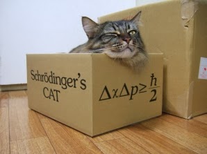 La physique quantique pour les nuls Schrodinger%20cat