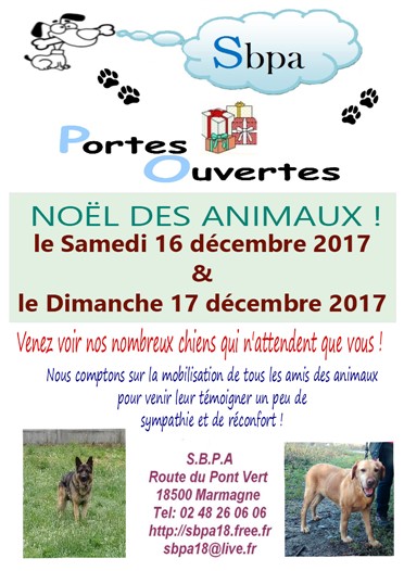 MILOU - x fox 7 ans - SBPA à Marmagne (18) Porte-ouverte-noel-2017-372-x-526