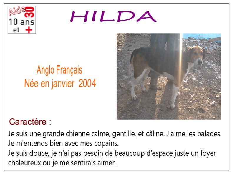 HILDA - anglo 11 ans - SBPA à Marmagne (18) Hilda