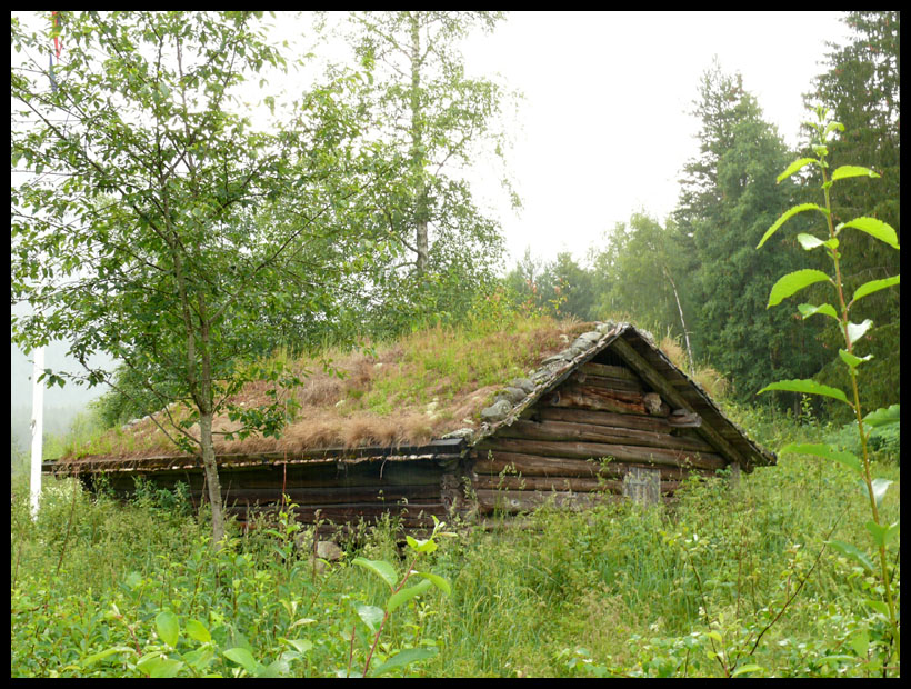 La vieille Cabane 16