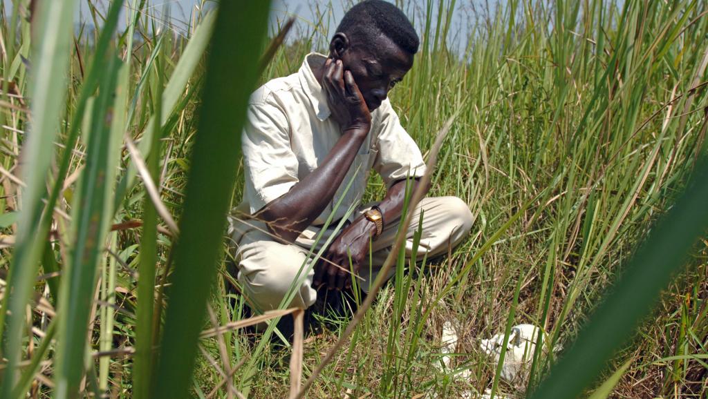  30 Juin 2014 : Démonstration de forces Armées de la République Démocratique du Congo 000_Par1751769_0