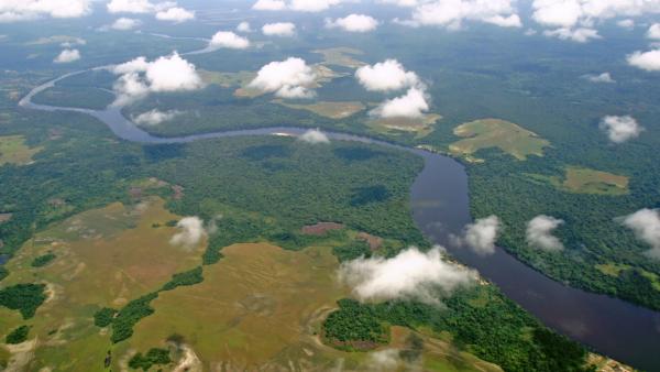 Une cité médiévale découverte sous la jungle au Cambodge + autres articles Congo_basin_0