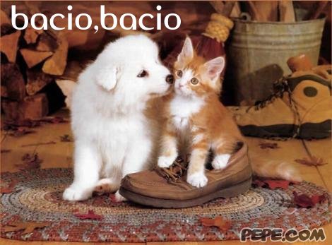 Ciao a tutti !!! - Pagina 3 Bacio_bacio_0