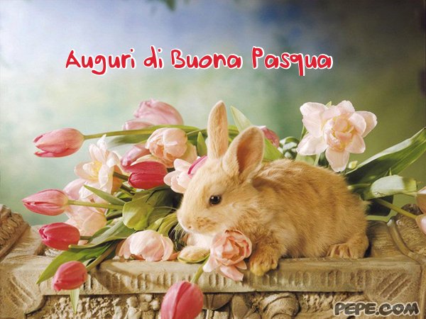 Al BAR del Regno - Pagina 14 Bigliettino_auguri_di_buona_pasqua_0