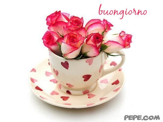 Buona settimana 19-25 novembre 2012 Buongiorno_31