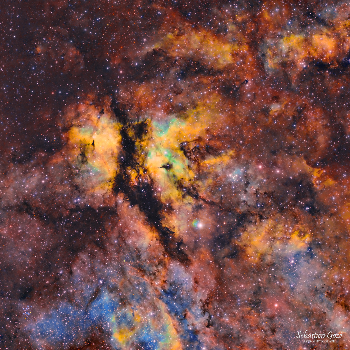 IC 1318 - Le papillon de l'hémisphère nord  en SHO Butterfly%20nebula_finale_forum