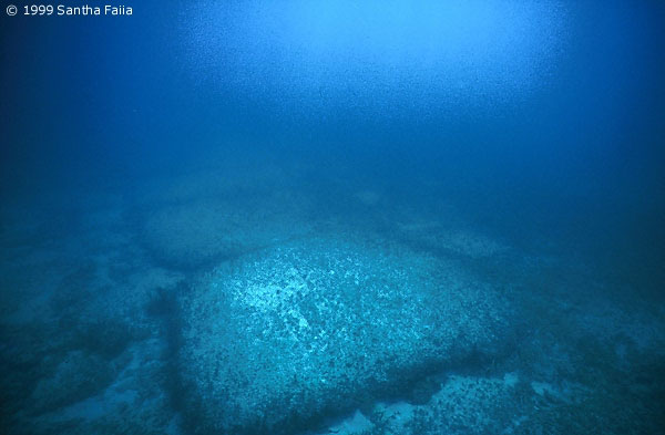 Ruines sous-marines dans les Caraïbes Bimini02