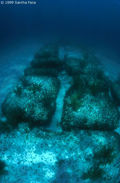 Ruines sous-marines dans les Caraïbes Bimini04