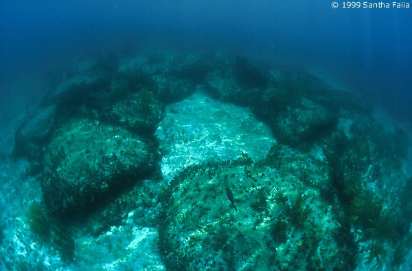Ruines sous-marines dans les Caraïbes Bimini05