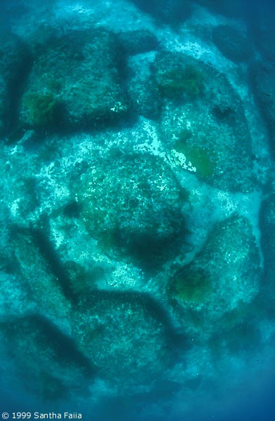 Ruines sous-marines dans les Caraïbes Bimini06