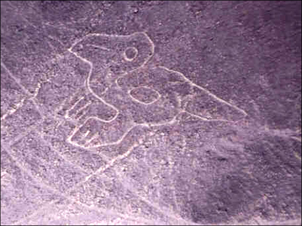 NAZCA:les lignes Naz_condor