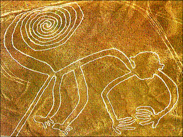 Les lignes nazca  Naz_singe