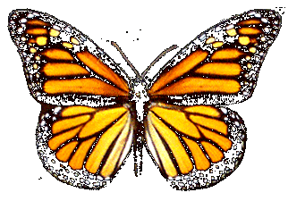 MK-ULTRA ET MONARCH PROGRAM Papillon