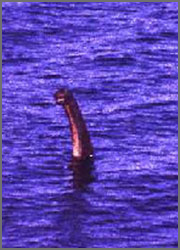 jeux du mot images Nessie2