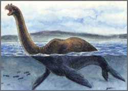 jeux du mot images Nessie3