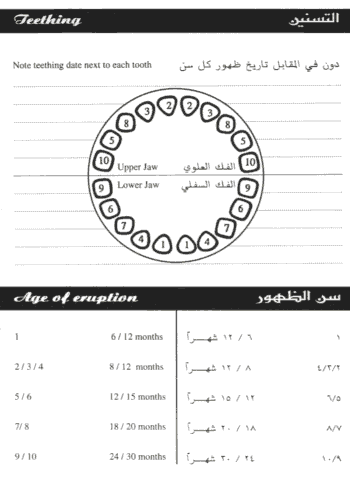 أسنان طفلك Your child's teeth ( درس مع الصور ) Teething