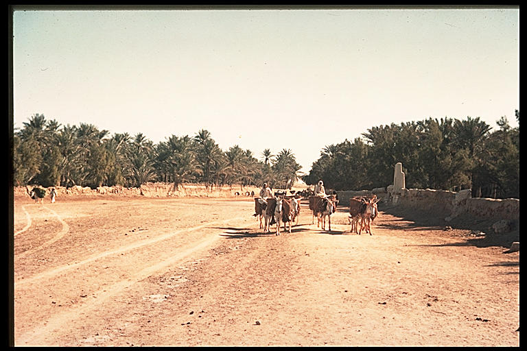 صور نادره : 1939 - رحلة سيسل قرين للمنطقة الشرقية‎ 083